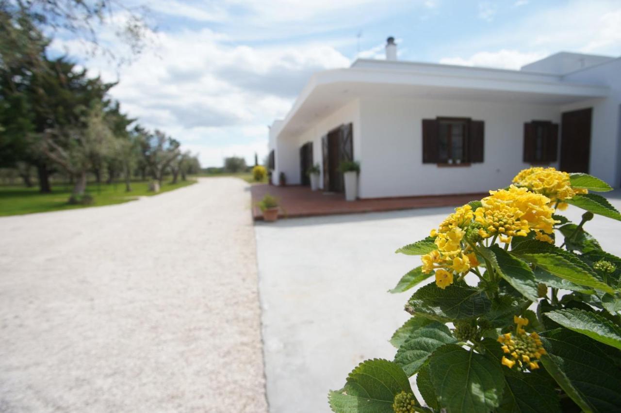 Gli Ulivi Di Gino Bed & Breakfast Sanarica Exterior photo